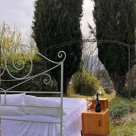 Tenuta Il Colle Di Tiglio *