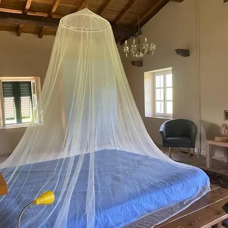 Tenuta Il Colle Di Tiglio