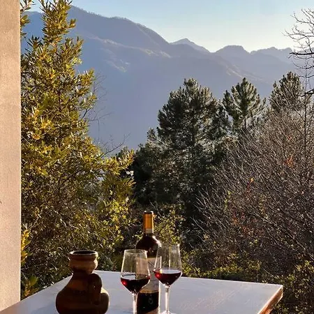 Tenuta Il Colle Di Tiglio *