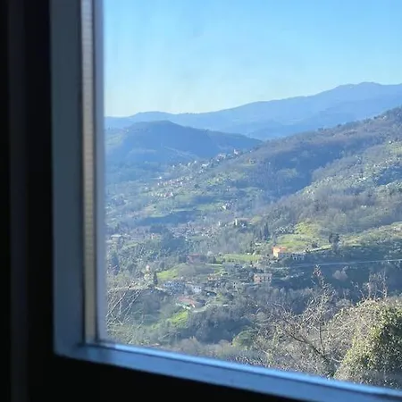 Tenuta Il Colle Di Tiglio 別荘 *