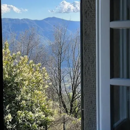Tenuta Il Colle Di Tiglio