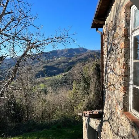 Tenuta Il Colle Di Tiglio *