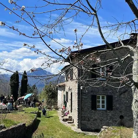 別荘 Tenuta Il Colle Di Tiglio