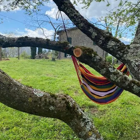 Tenuta Il Colle Di Tiglio バルガ