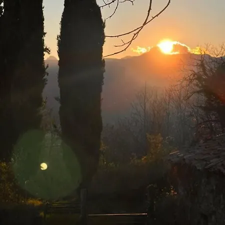 Tenuta Il Colle Di Tiglio 別荘